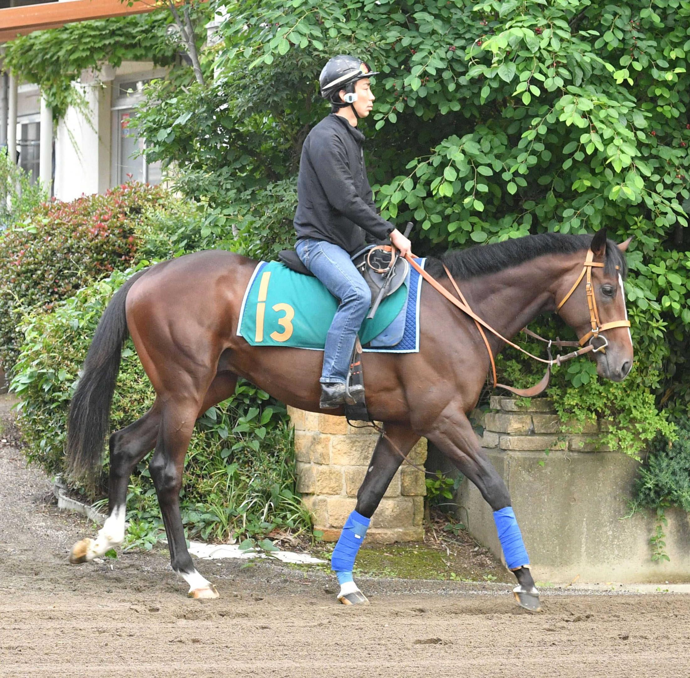 【新馬戦】ダノンヒストリー　大物の予感　クロワ輩出出世レースに今年も要注目　レーン「いい競馬ができる」