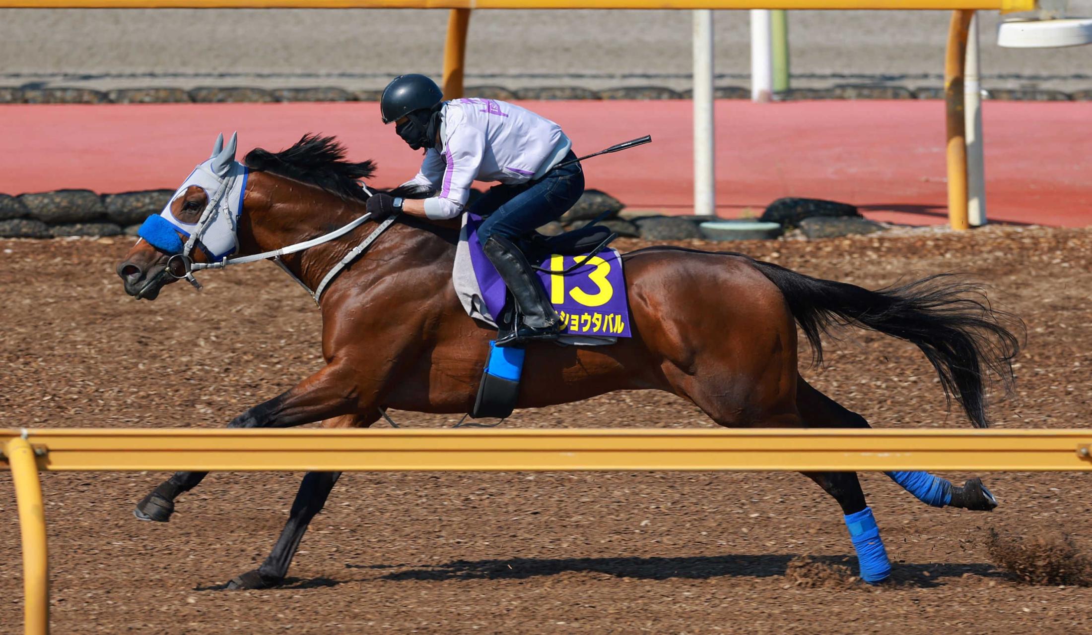 【宝塚記念】メイショウタバル　猛時計！ラスト１Ｆ１０秒７　石橋師「折り合いがついてきた」成長を実感
