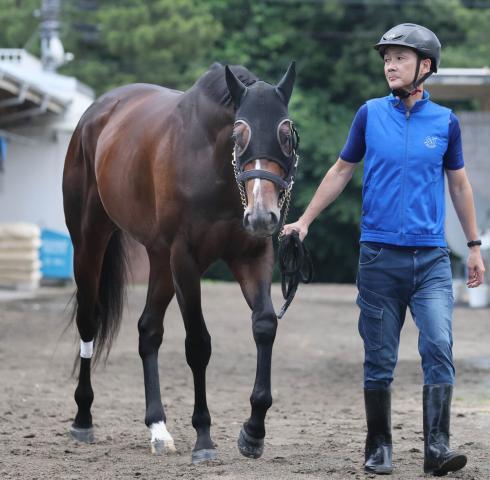 【安田記念】4歳馬が優勢のレース　短距離色が濃い血統背景を持つシックスペンスに注目