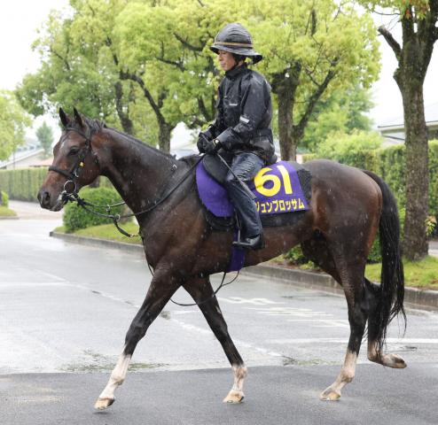 【安田記念】ジュンブロッサムは8枠17番　友道調教師「武豊騎手がドウデュースのように運んでくれれば」