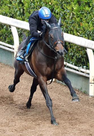 【注目馬動向】ヤマニンウルスは東海Sで復活V狙う　斉藤崇調教師「この距離では最後までしっかり走っていた」