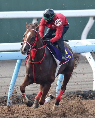 【安田記念】ウインマーベルが好枠の2枠4番　深山調教師「位置を取って行くでしょうから」