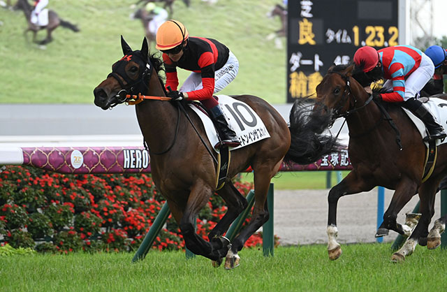 新種牡馬デビューJRA勝利一番乗りは？ 過去5年の馬を紹介