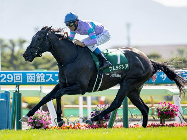 【函館SS想定馬・騎手】ナムラクレア、ミリアッドラヴなど21頭