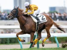 垂水Sに出走予定のシェイクユアハート(撮影：山中博喜)