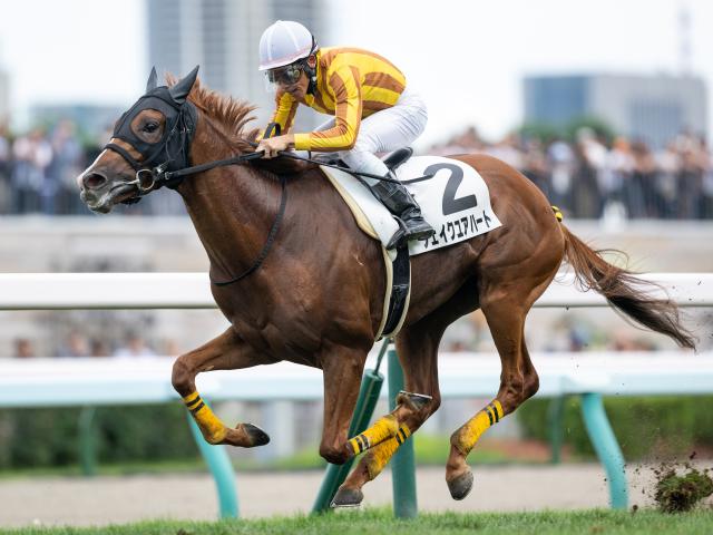 【今日の注目ポイント】JRA新馬戦が開幕 レーヌミノルの仔テンユウなどデビュー