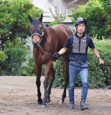 【安田記念】ブレイディヴェーグ大外一気!東京向きの決め手