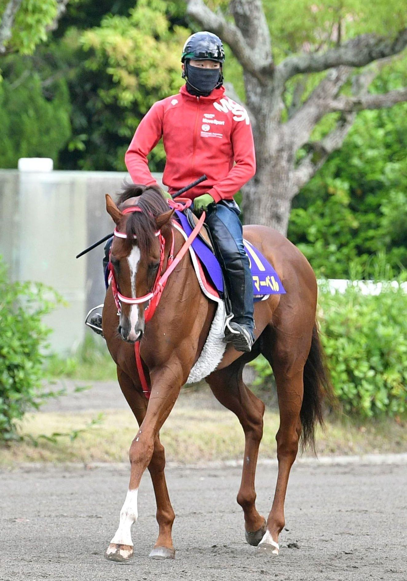 【安田記念】ウインマーベル２枠４番　主導権奪取へ深山師「いい枠を引けたと。この馬にはちょうどいい」