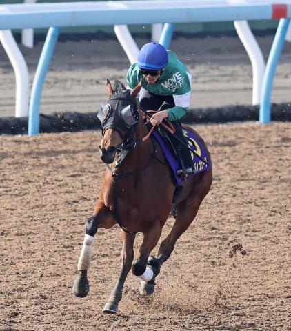 【安田記念】ブレイディヴェーグが素軽く登坂　宮田調教師「いつもの動けるスタイリッシュな…」