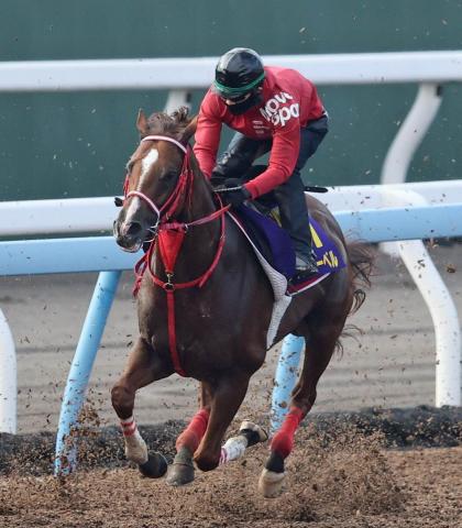 【安田記念】海外遠征帰りのウインマーベルは出来に不安なし　陣営「いい汗をかけていました」