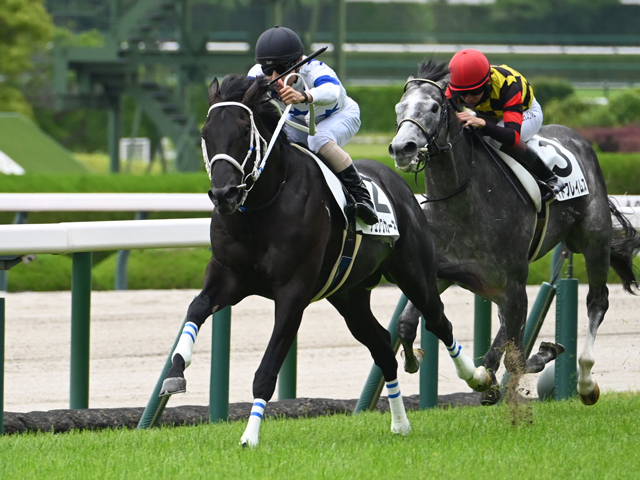 【阪神5R新馬戦結果】チュウワカーネギーがJRA新馬勝ち一番乗り モーリス産駒