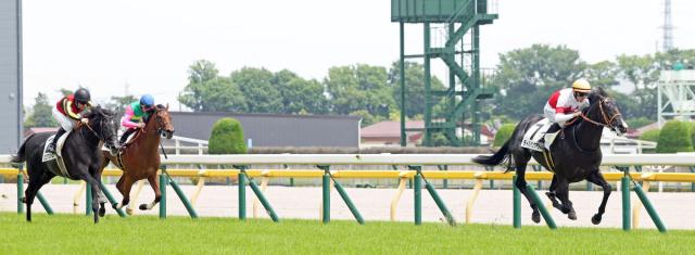 【東京5R・2歳新馬】単勝1・6倍の断然人気ゾロアストロは痛恨出遅れ　ルメール騎手「いい勉強ができた」