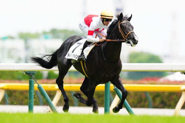 【東京5R】東日本最初の新馬戦はディバインウインドが2番手から抜け出し快勝