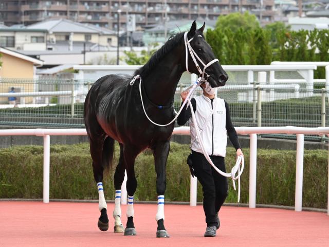 【メイクデビュー阪神5Rレース後コメント】チュウワカーネギー北村友一騎手ら