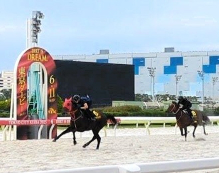 【地方競馬】東京ダービー　ナイトオブファイアが抜群の動き　大井で最終追い切り