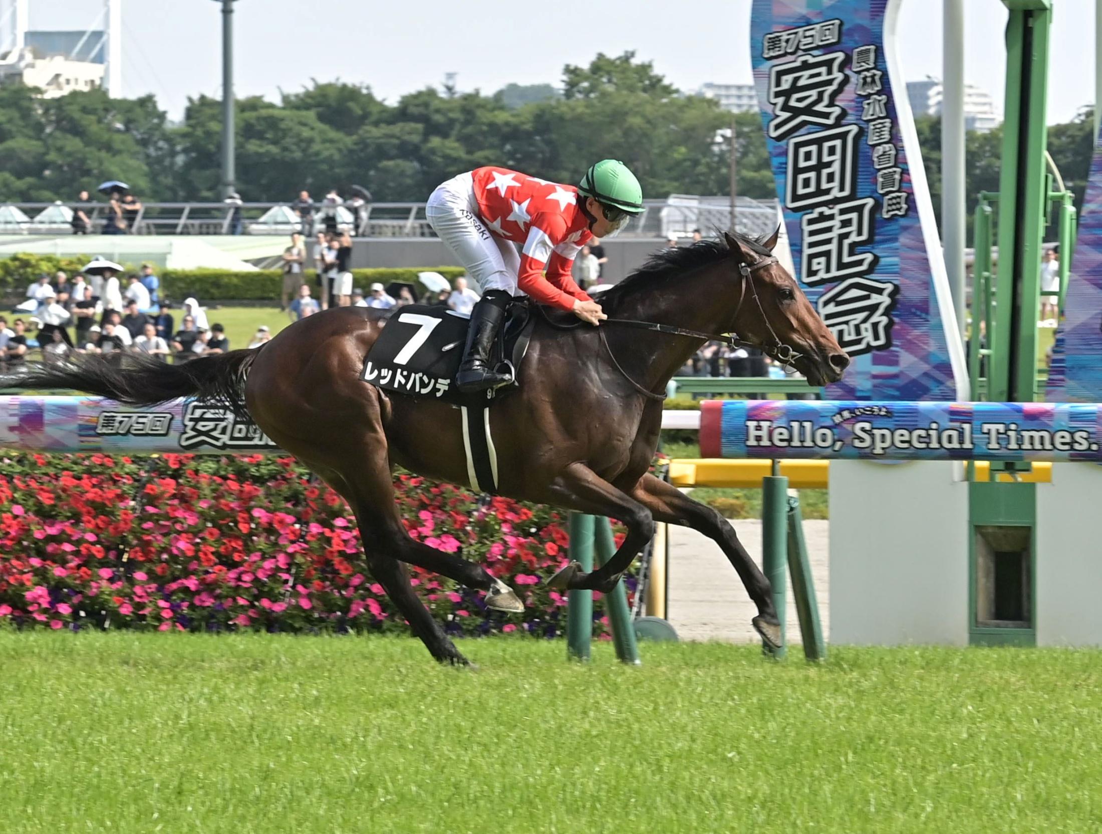 青葉賞４着のレッドバンデが１勝クラスを楽勝　菊花賞を秋の目標に　大竹師「距離が延びていい馬」