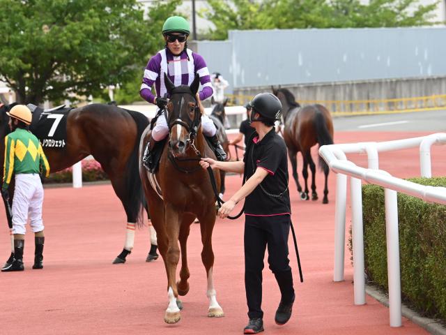 【城崎特別レース後コメント】ゼンダンハヤブサ藤岡佑介騎手ら