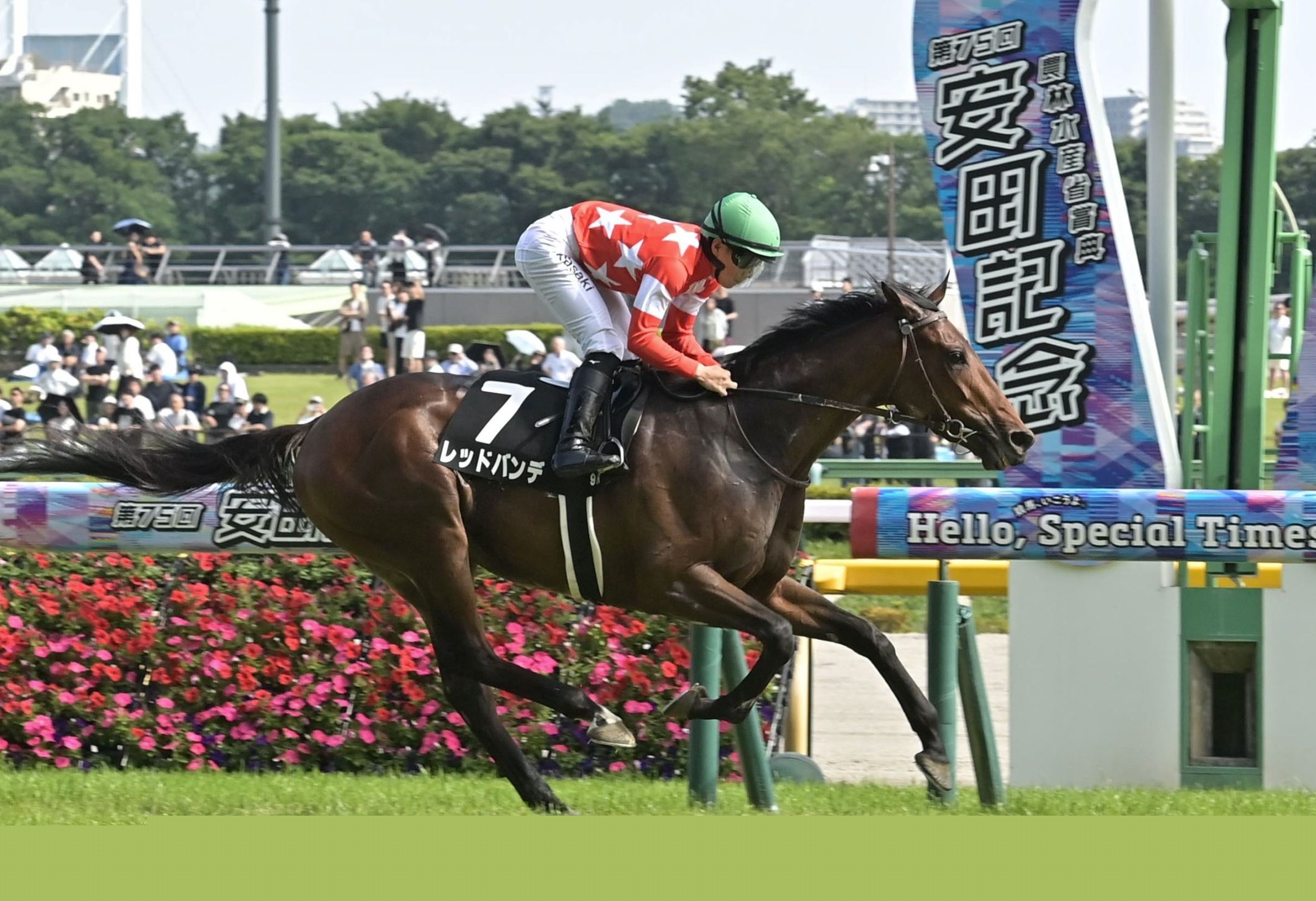 青葉賞４着のレッドバンデが１勝クラスを楽勝　菊花賞を秋の目標に　大竹師「距離が延びていい馬」