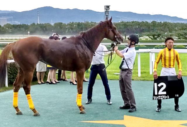 【阪神11R・垂水S】シェイクユアハートがクラス15戦目で待望の白星　オープン入り決める