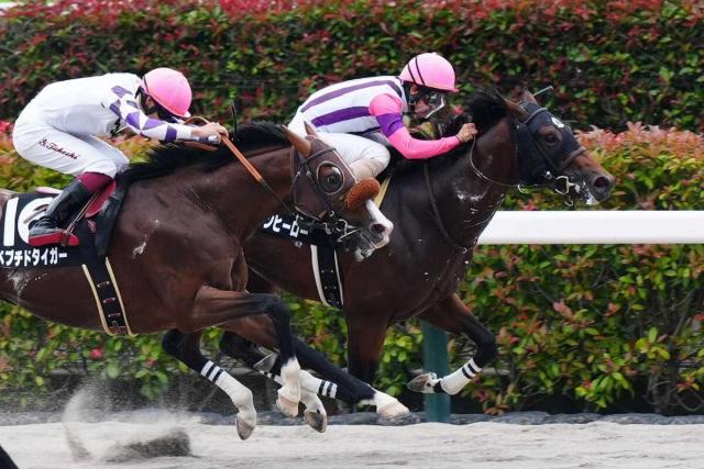 【麦秋S】5番人気サフランヒーローが逃げ切って連勝でオープン入り　黛「マイペースを刻めた」