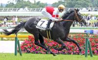 デビュー戦を勝利で飾ったディバインウインド（カメラ・荒牧　徹）