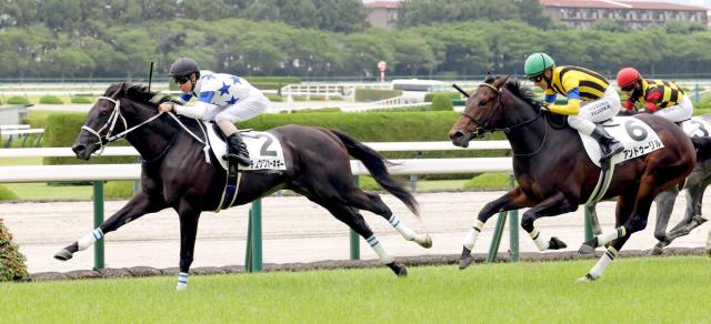 【阪神5R・2歳新馬】1番人気チュウワカーネギーが鮮やかに逃げ切って世代一番星　北村友一騎手「期待通りの走り」