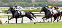今年の２歳世代最初の新馬戦を制したチュウワカーネギー（左）（カメラ・豊田　秀一）
