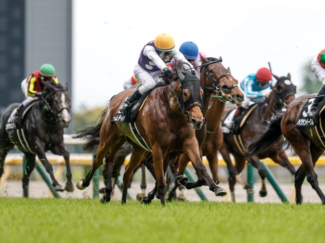 【由比ヶ浜特別レース後コメント】アームテイル大野拓弥騎手ら