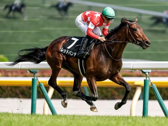 【稲城特別レース後コメント】レッドバンデ佐々木大輔騎手ら
