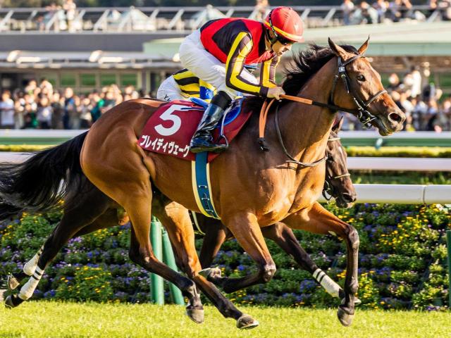 霜降り明星・粗品はブレイディヴェーグを信頼 3連単＆3連複で勝負だ