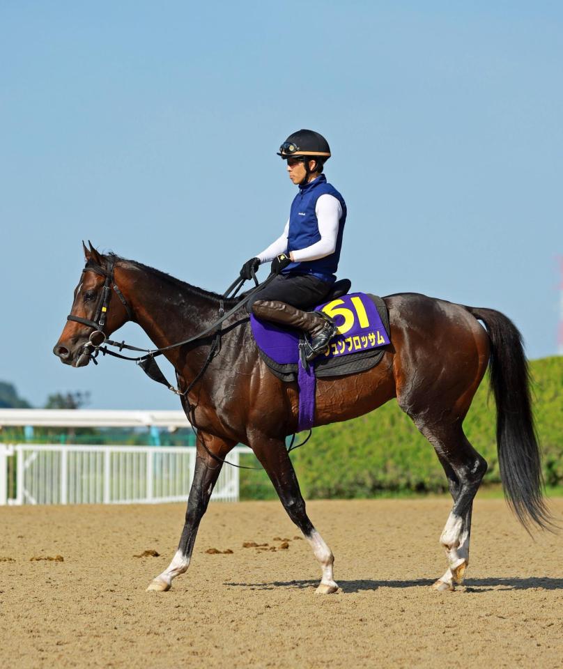 【安田記念】ジュンブロッサムはリラックス　富士Ｓと同じ８枠、差し切りへ陣営「同じような競馬になってくれれば」