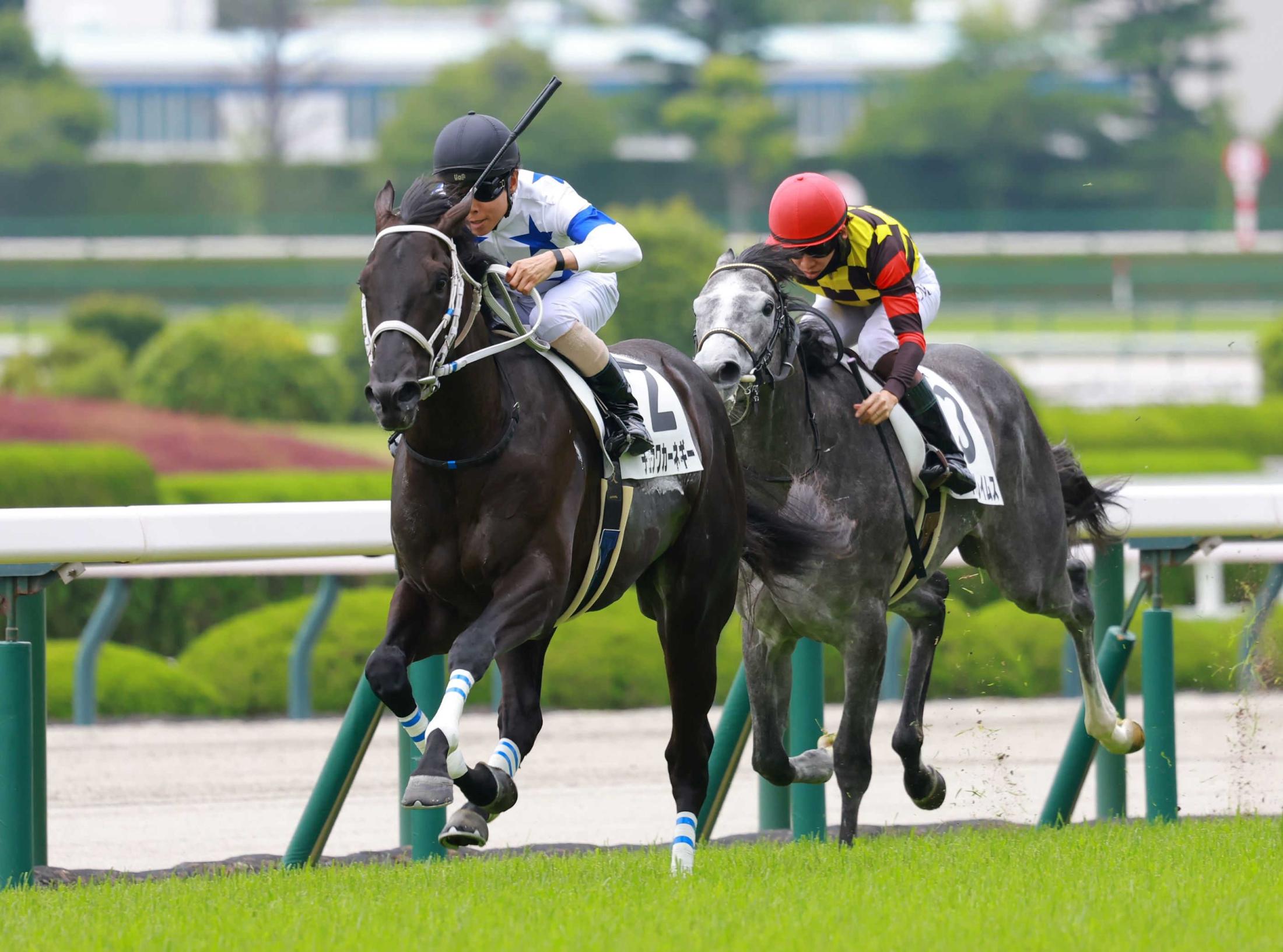 【新馬戦】チュウワカーネギー　ラスト３Ｆ３３秒２で押し切った！上がり阪神芝１６００メートル戦の新馬戦史上最速タイ