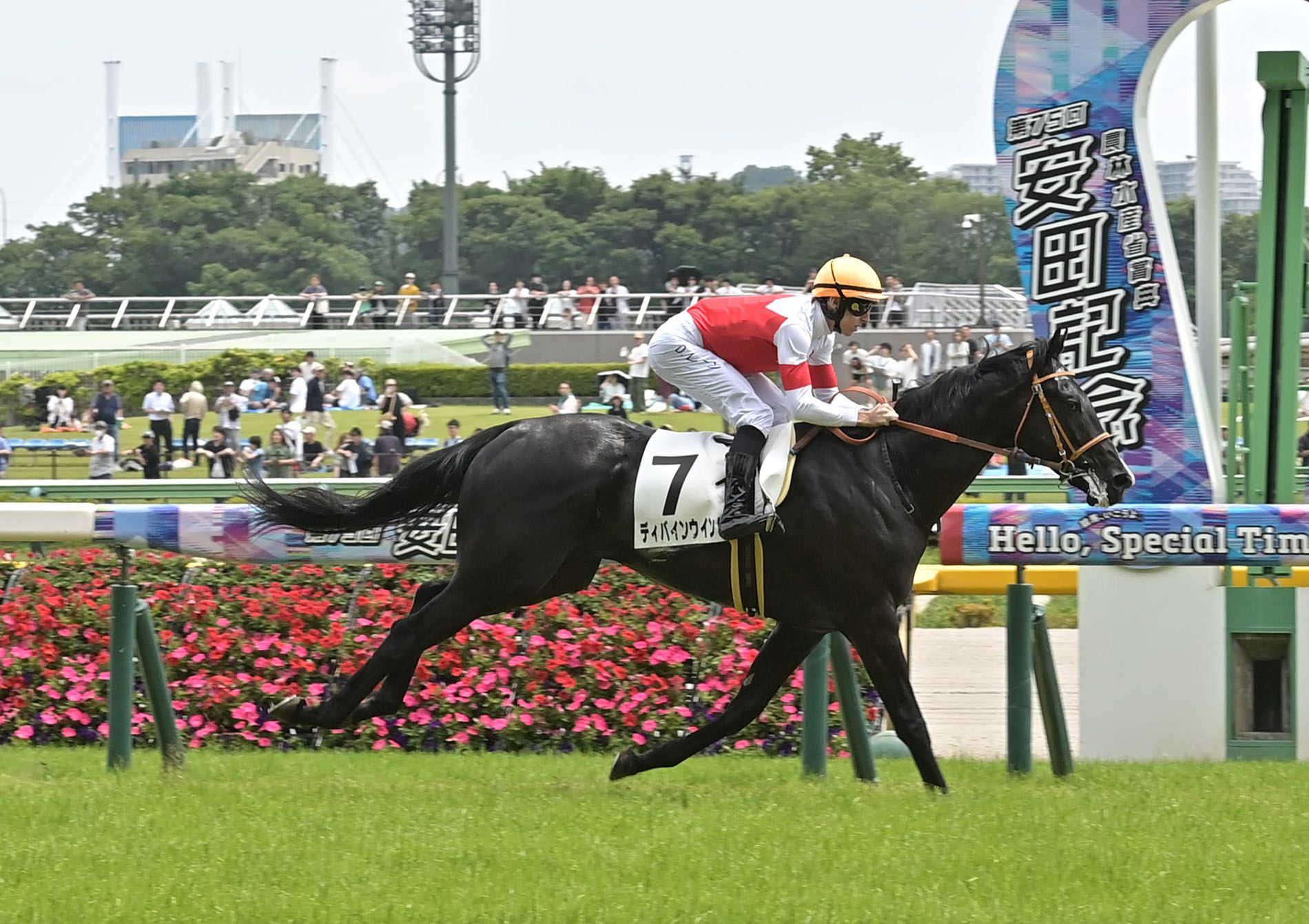 【新馬戦】ディバインウインドが東の一番星！　後続突き放し３馬身半差つけ完勝　レーン「プロフェッショナルでした」
