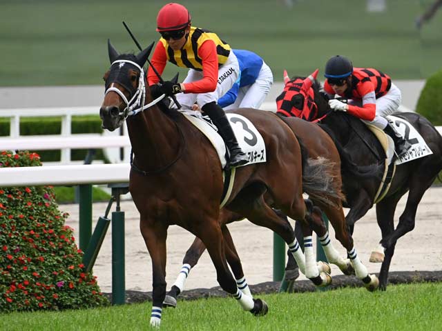 【阪神5R新馬戦結果】キタサンブラック産駒ファムマルキーズが人気に応えてV
