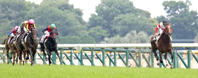今年のダービー馬レベル?　好時計で新馬戦快勝の超高額馬に「バケモン候補」「比較するのはナンセンス」