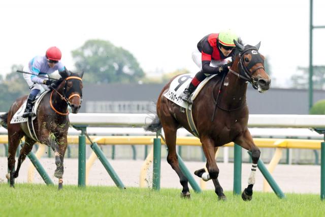 安田記念当日の東京競馬場芝コースは高速決着が続くも　ルメール騎手「馬場はゆるい」