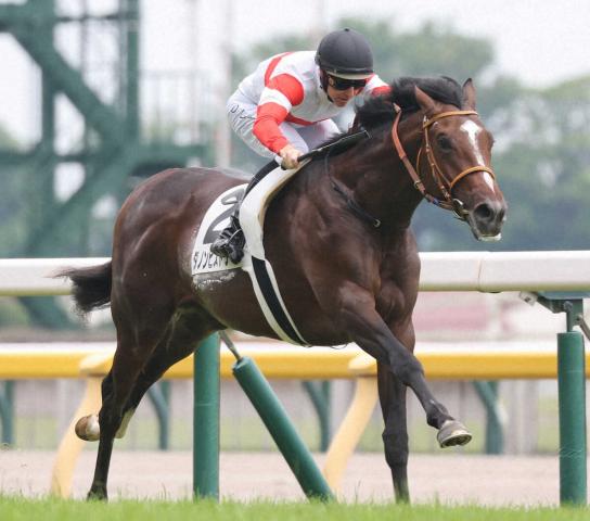 東京5R新馬戦　高額馬ダノンヒストリーがデビューV　レーン「ポテンシャルもあってこれからが楽しみ」