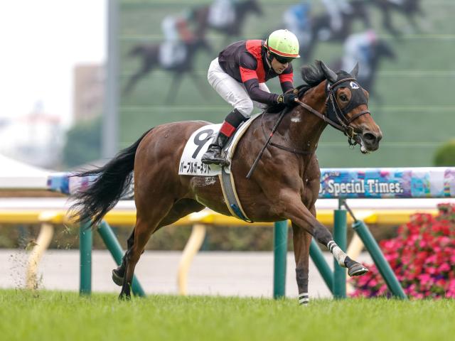 【東京6R新馬戦結果】モーリス産駒パープルガーネットが追い比べを制してV