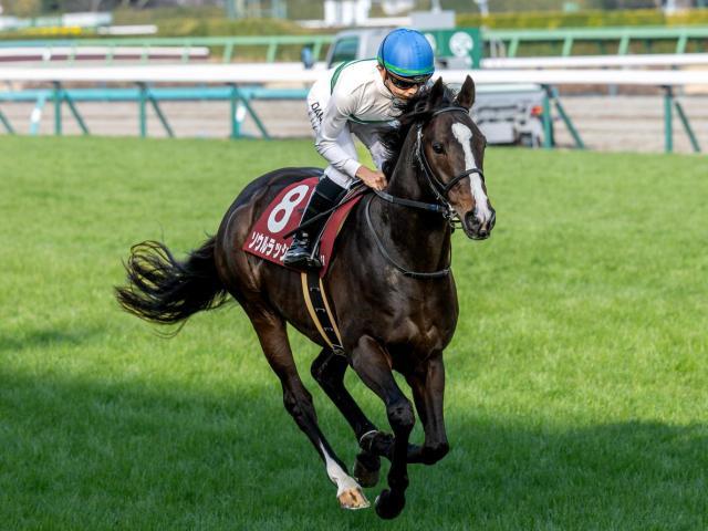 【安田記念・馬体重】ソウルラッシュは512kg、ジャンタルマンタルは498kg(-5)