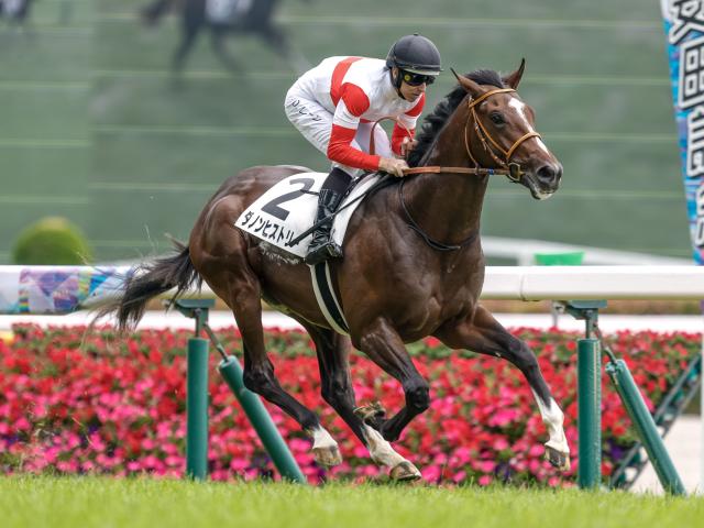 【東京5R新馬戦結果】3.9億円馬ダノンヒストリーが断然人気に応えて完勝 エピファネイア産駒