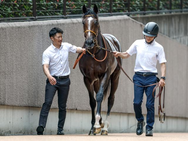 【メイクデビュー東京5Rレース後コメント】ダノンヒストリー D.レーン騎手ら