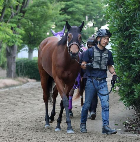 馬トク外厩情報からの推奨馬…安田記念・G1