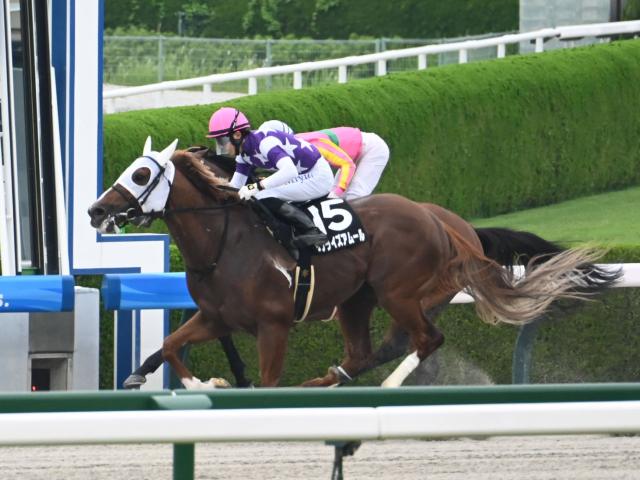 【水無月S結果】4番人気サンライズアムールがゴール前で差し切りV