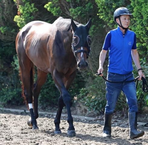 【安田記念】ルメール騎手の4歳シックスペンスは直線失速の12着　G1初勝利ならず