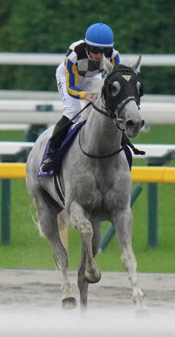 【安田記念】2着のガイアフォース　吉村は「ブリンカーをつけたのが良かった」