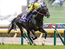ジャンタルマンタルが安田記念を制覇(撮影：下野雄規)