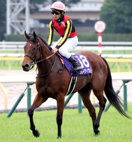 【安田記念】唯一の牝馬ブレイディヴェーグは大外枠から4着　戸崎圭太騎手「周りの方が伸びていた」
