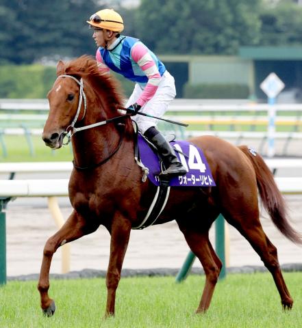 【安田記念】転厩初戦ウォーターリヒトは直線伸びず9着　菅原明良騎手「このペースでは仕方がないです」