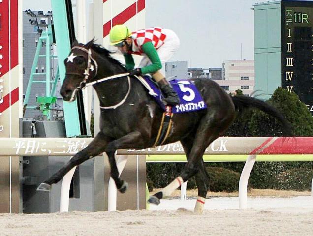【大井・東京ダービー(11日)】地元ナイトオブファイア逆転戴冠へ準備OK