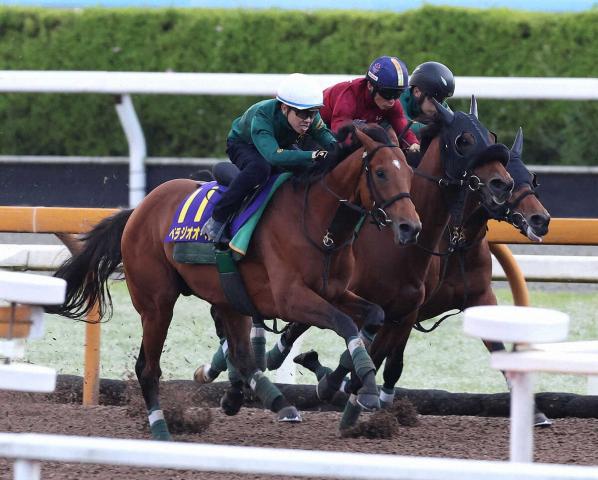 【宝塚記念展望】ファン投票1位ベラジオオペラ　4戦無敗の阪神でG1連勝だ